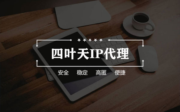 【德宏代理IP】如何快速搭建代理IP？怎么检查代理的效果？