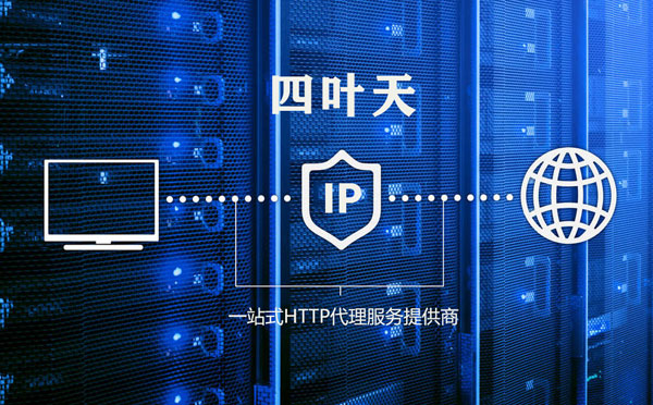 【德宏代理IP】代理IP的主要用途和使用注意事项